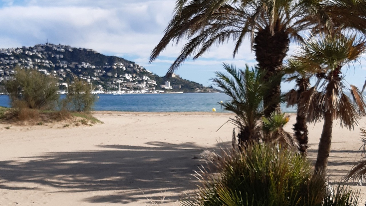 Photo of Others in Santa Margarida