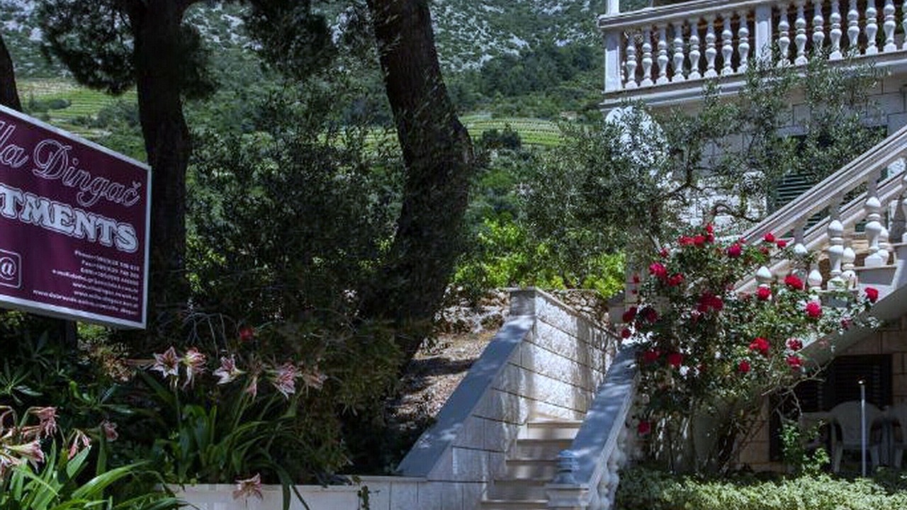 Photo of Outdoor in Orebic