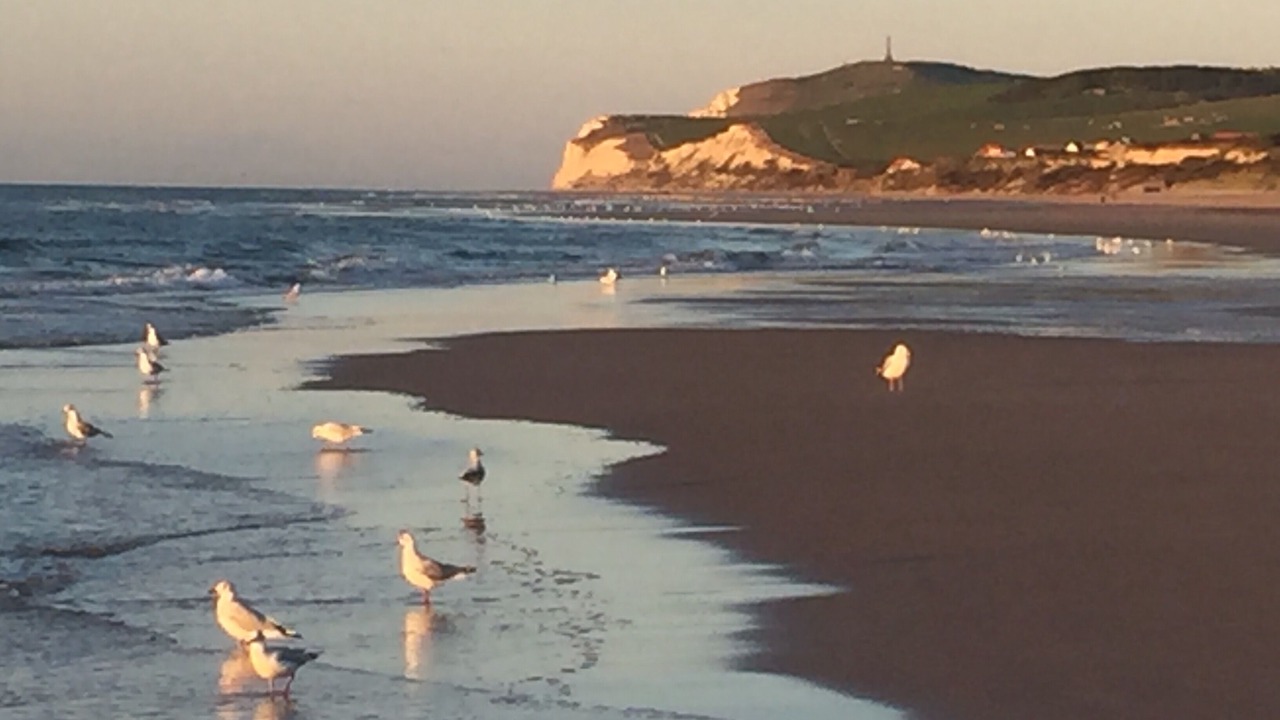 Photo of Others in Wissant