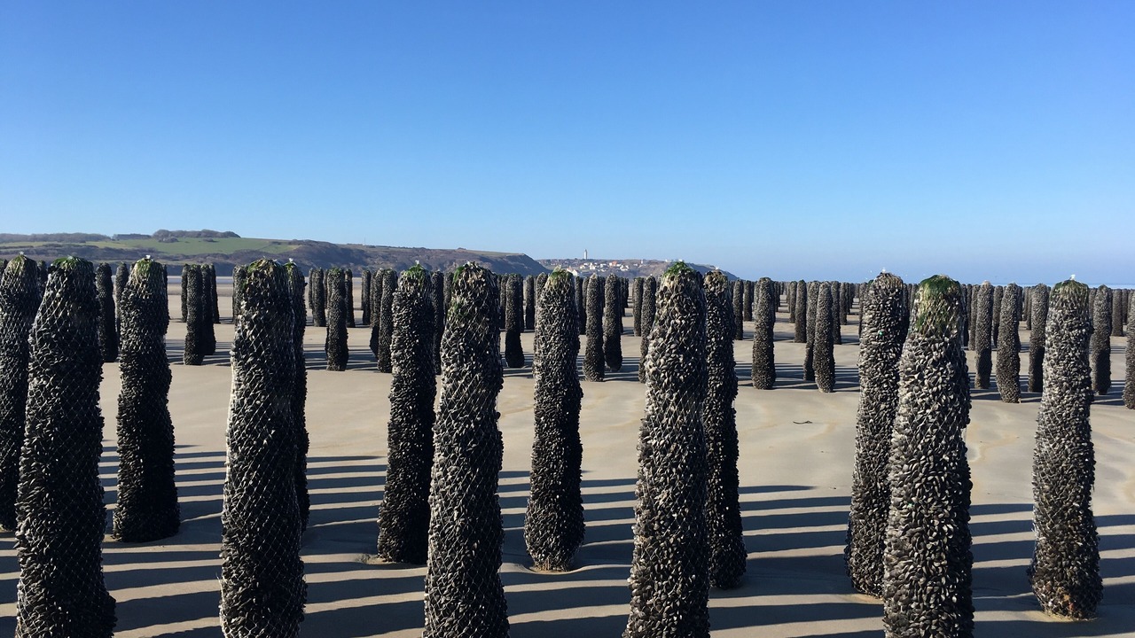 Photo of Others in Wissant