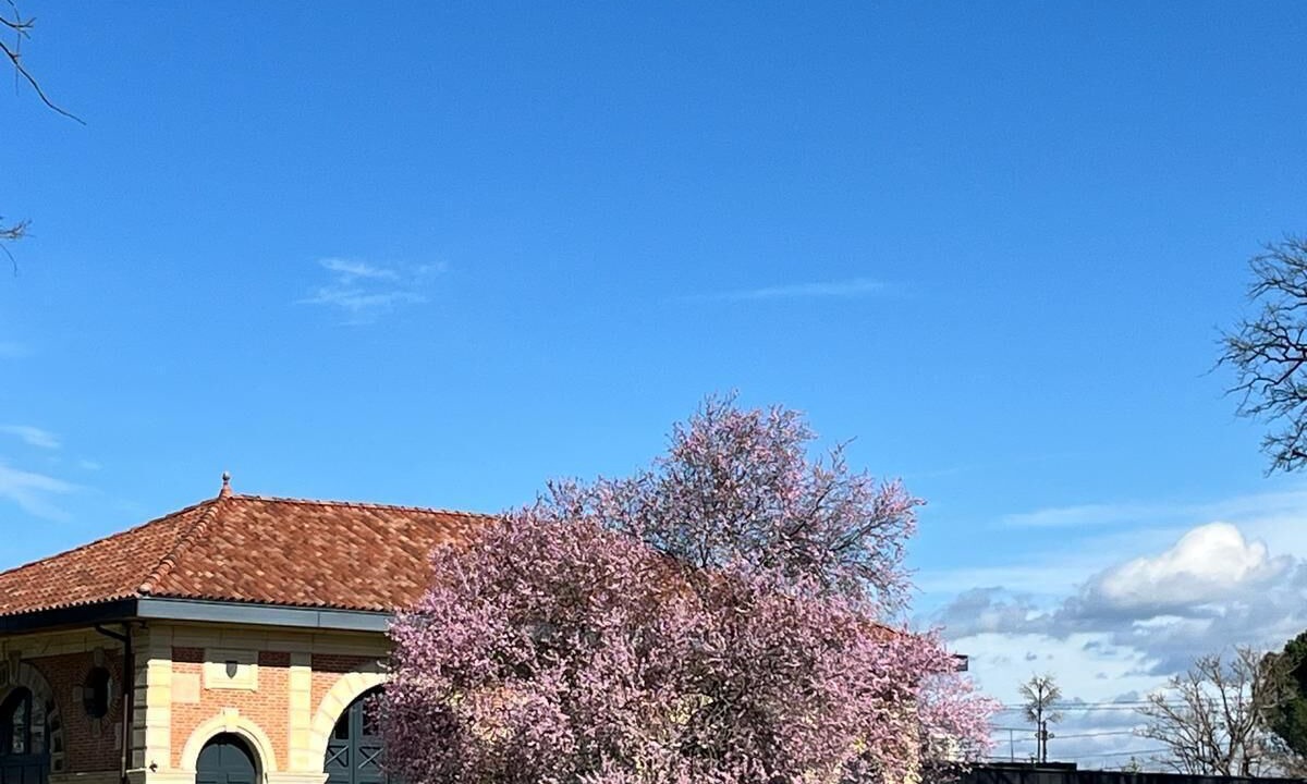 Photo of Outdoor in Cleppe