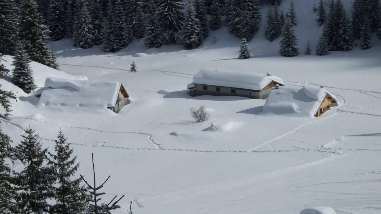 Photo of Others in La Chapelle-d'Abondance