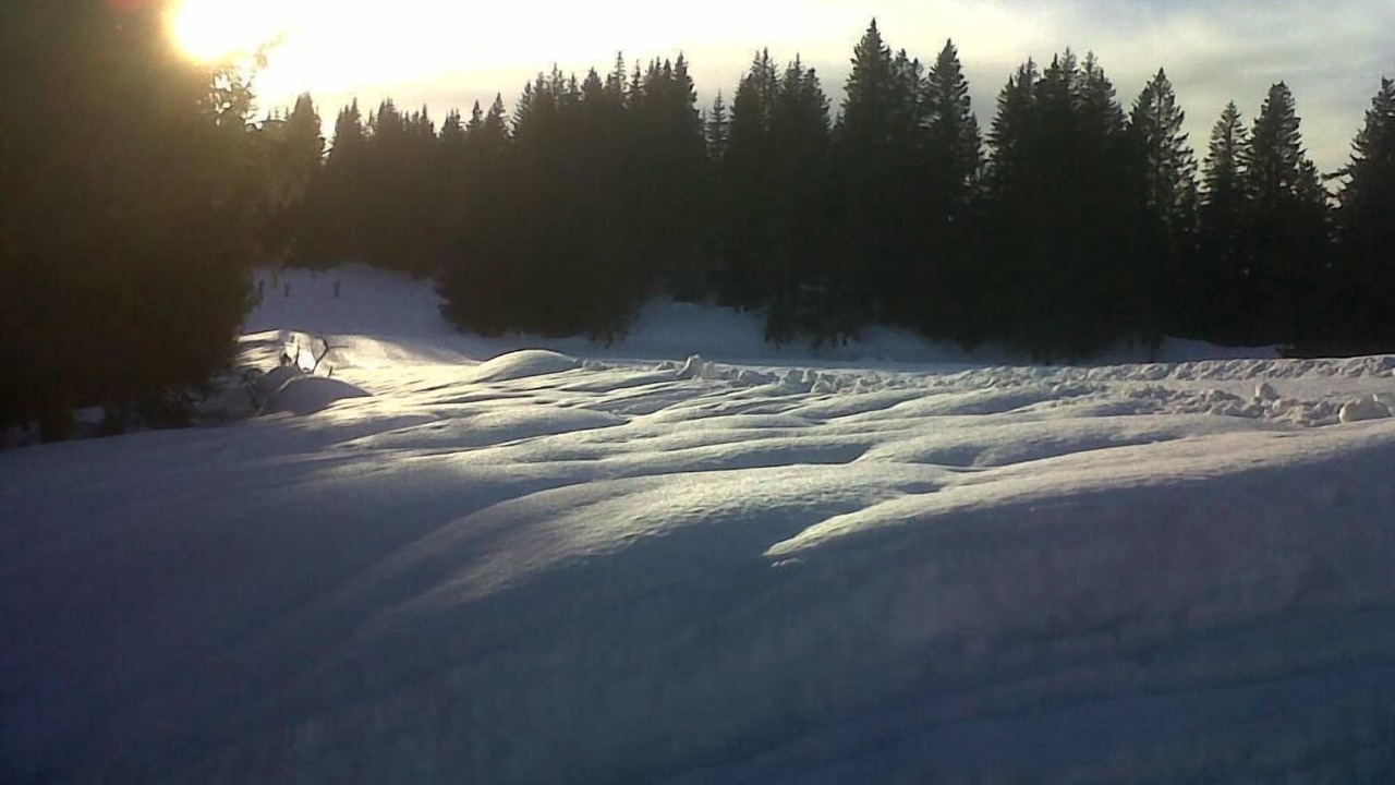Photo of Others in La Chapelle-d'Abondance