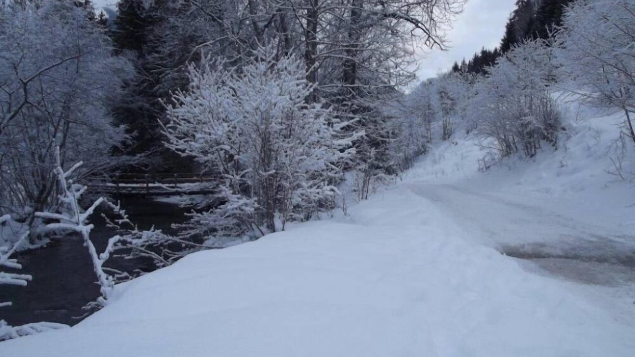 Photo of Others in La Chapelle-d'Abondance