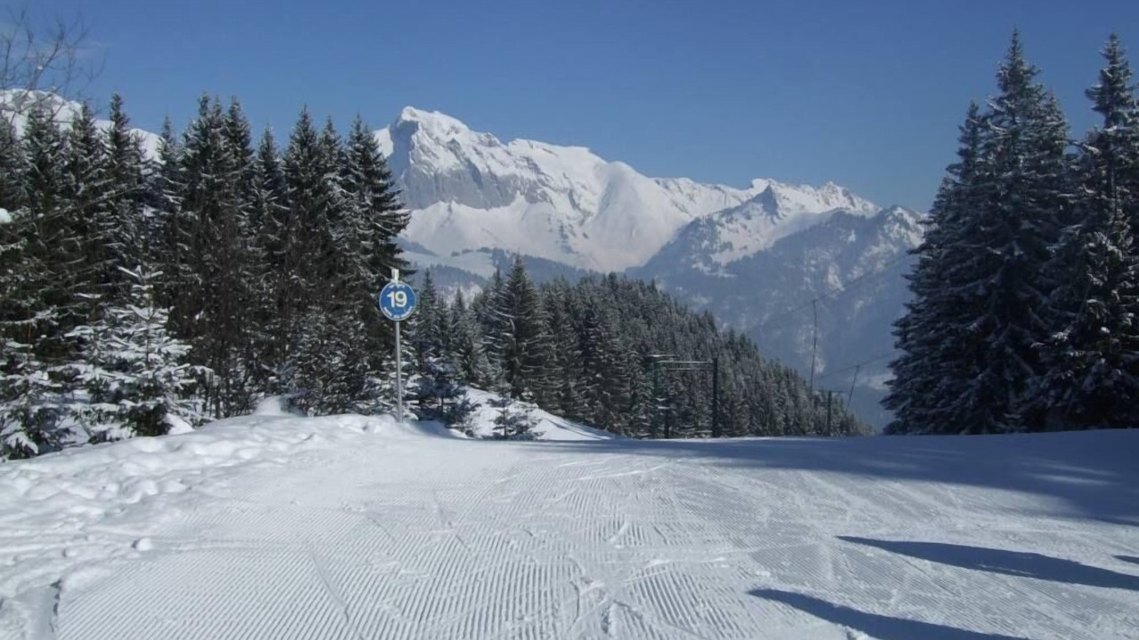Photo of Others in La Chapelle-d'Abondance