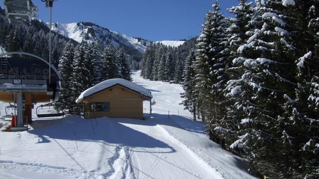 Photo of Others in La Chapelle-d'Abondance