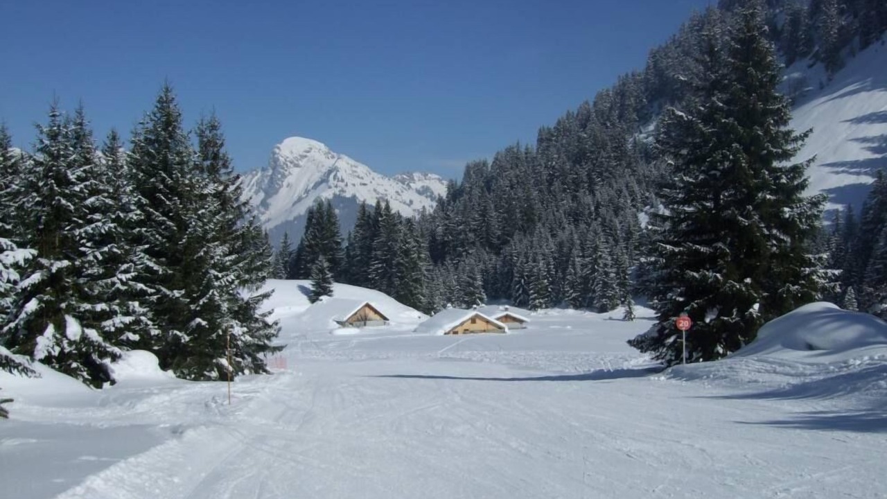 Photo of Others in La Chapelle-d'Abondance