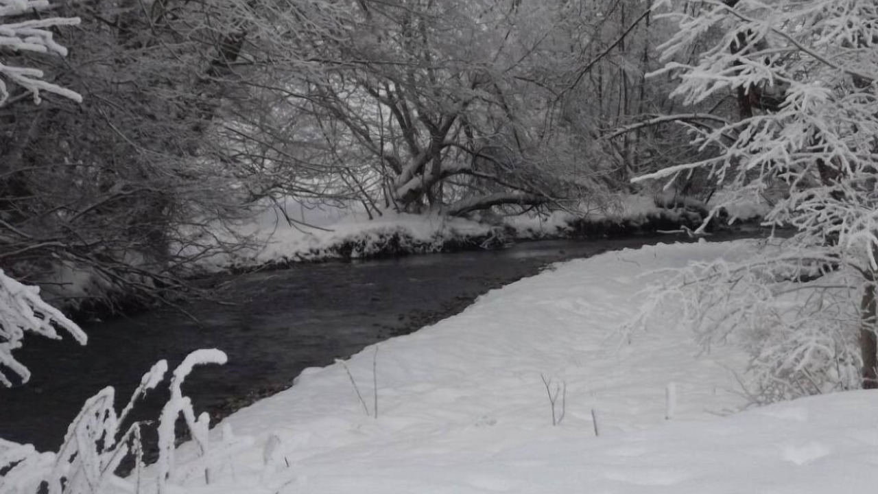 Photo of Others in La Chapelle-d'Abondance