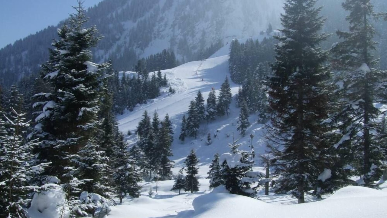 Photo of Others in La Chapelle-d'Abondance