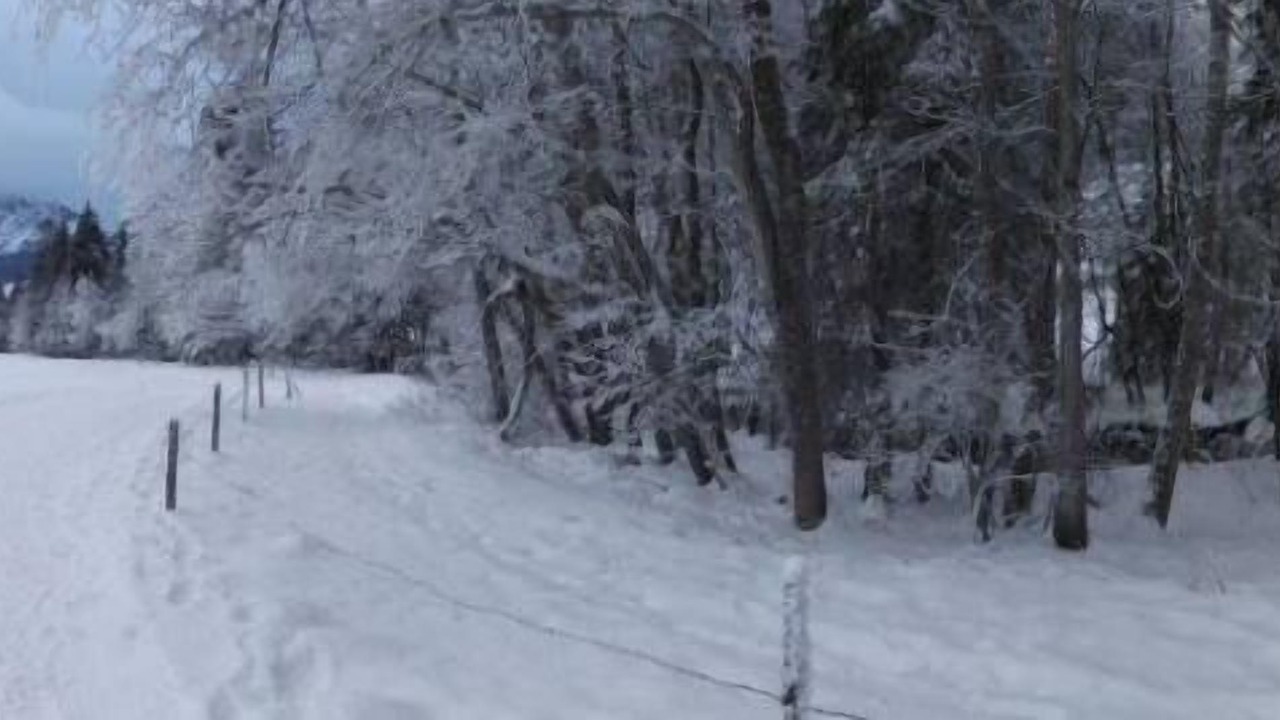 Photo of Others in La Chapelle-d'Abondance