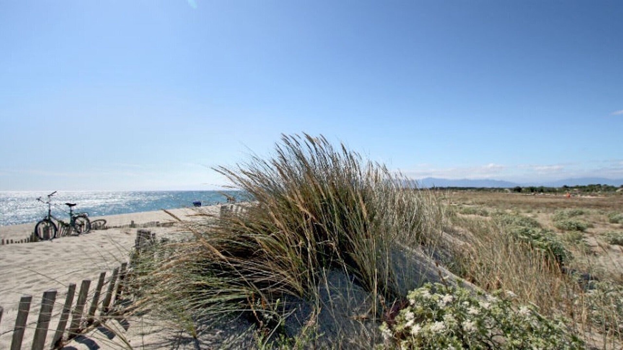 Photo of Others in Torreilles-Plage