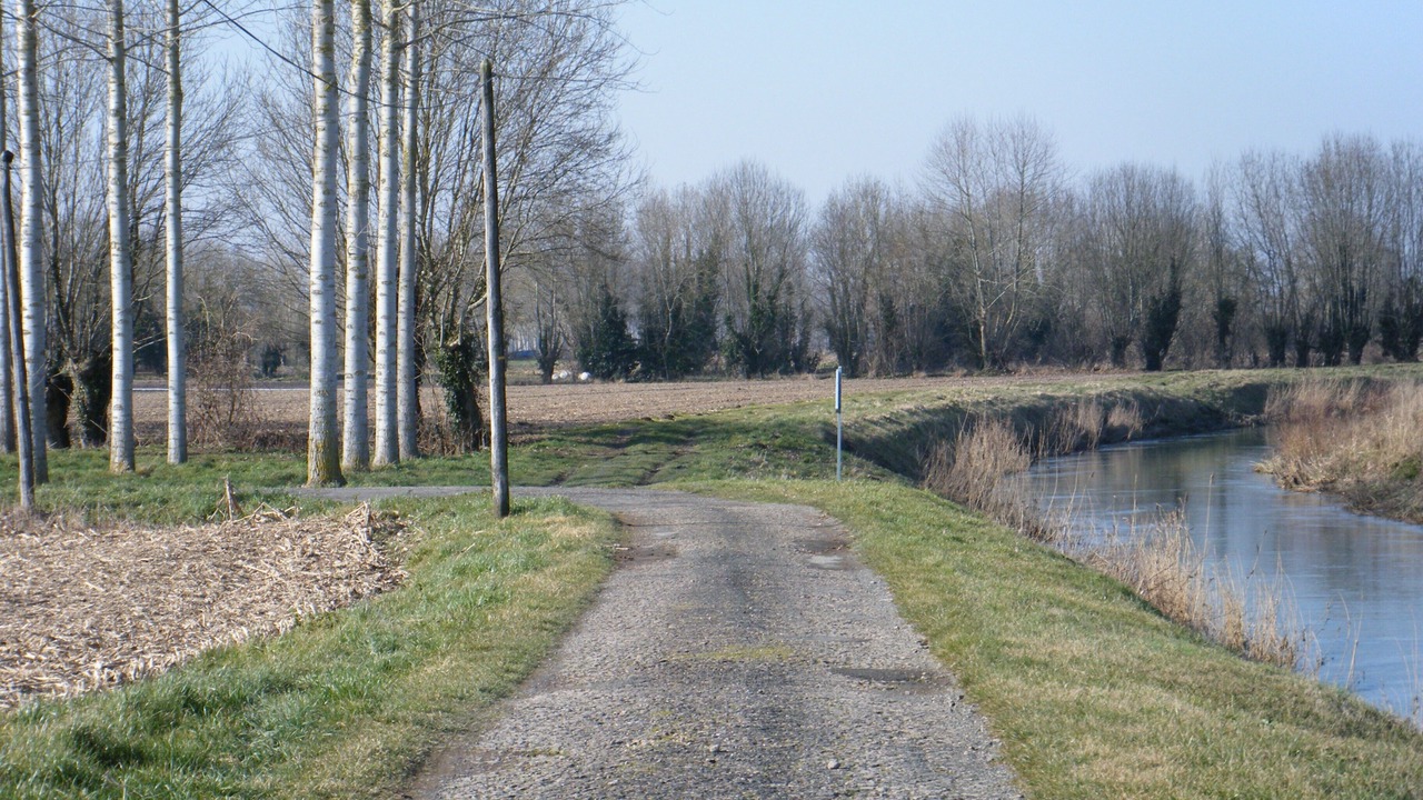 Photo of Others in Cramchaban