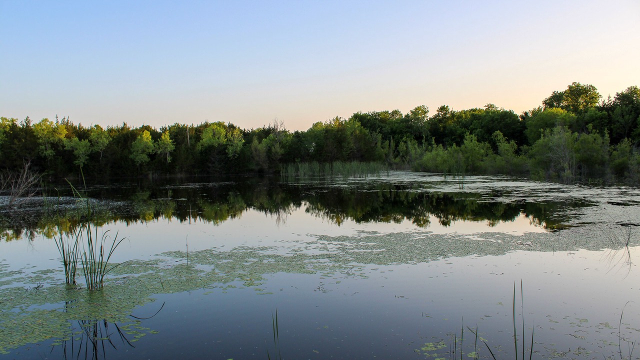 Photo of Outdoor in Elmo