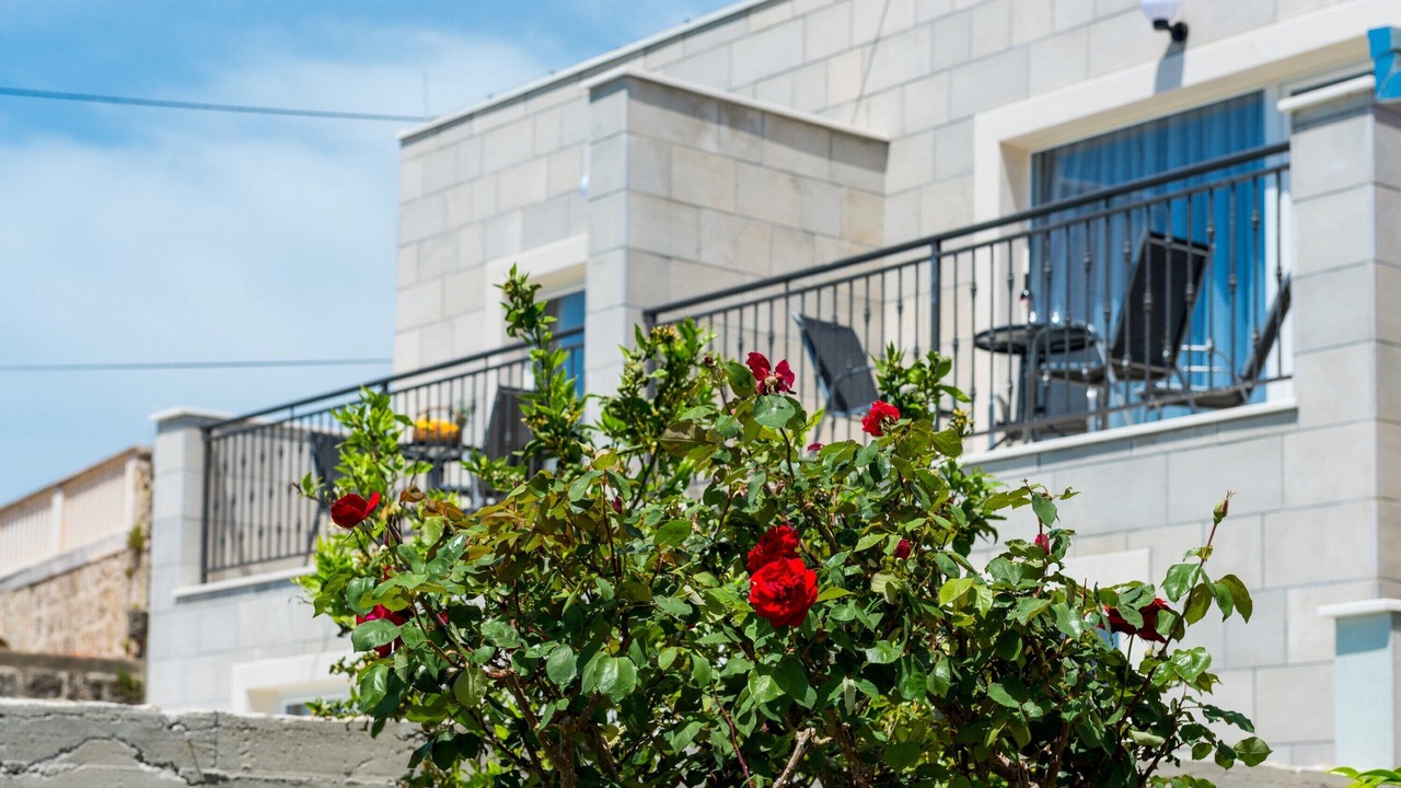 Photo of Outdoor in Popovici