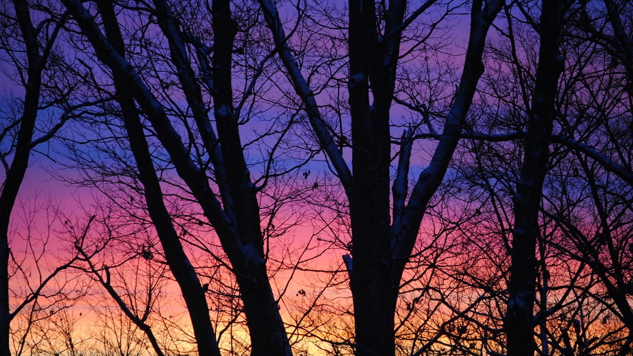 Photo of Outdoor in Romulus
