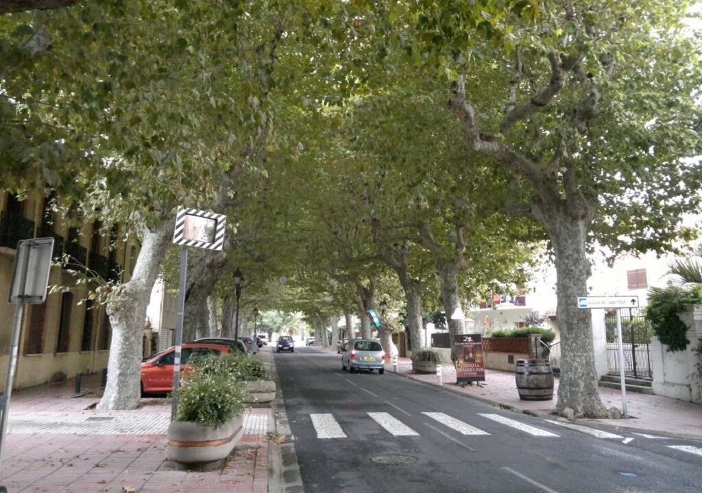 Photo of Outdoor in Banyuls-sur-Mer
