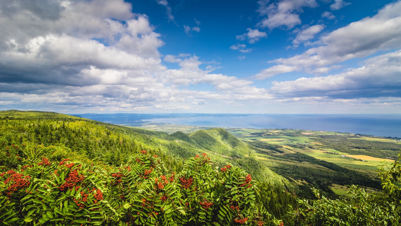 Photo of Outdoor in Carleton-sur-Mer