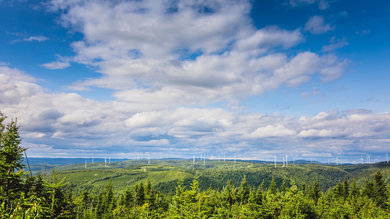 Photo of Outdoor in Carleton-sur-Mer