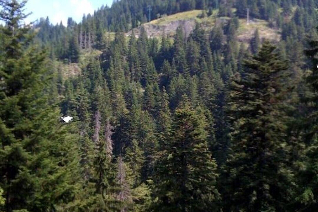 Photo of Others in La Bollene-Vesubie