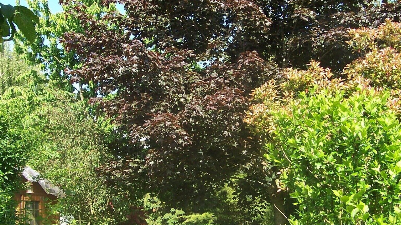 Photo of Outdoor in Saint-Lubin-de-la-Haye