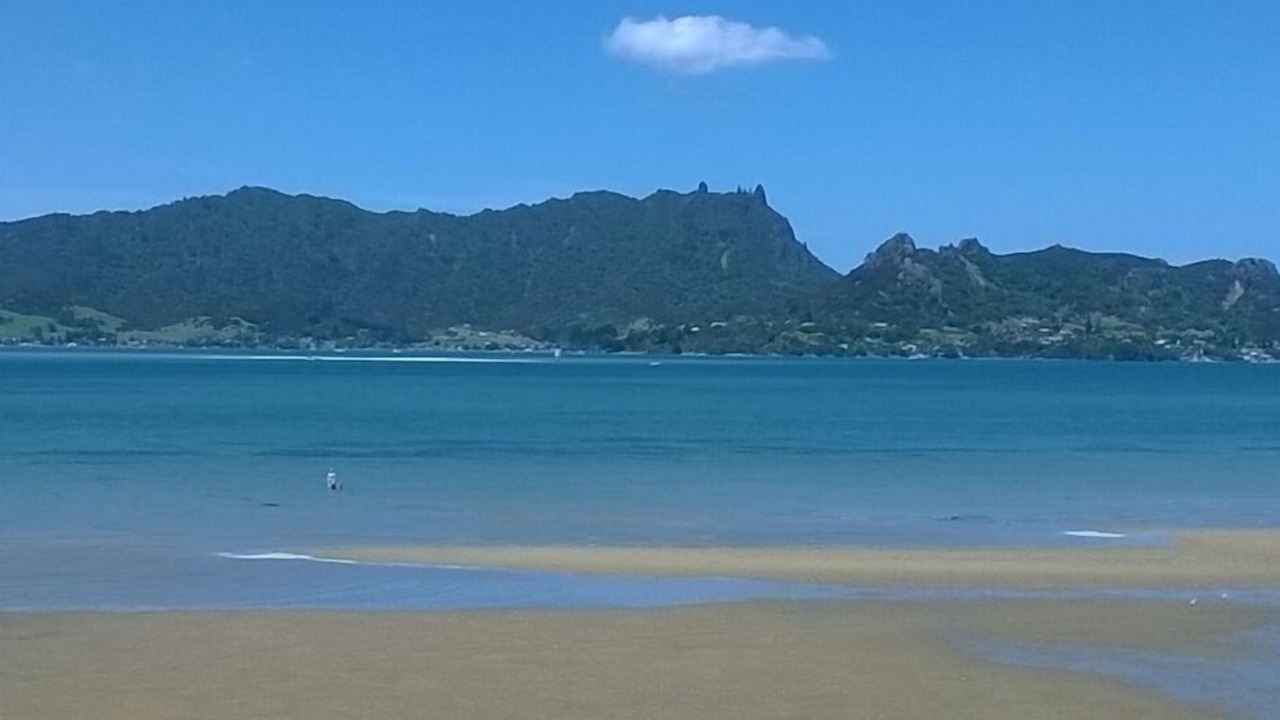 Photo of Others in One Tree Point