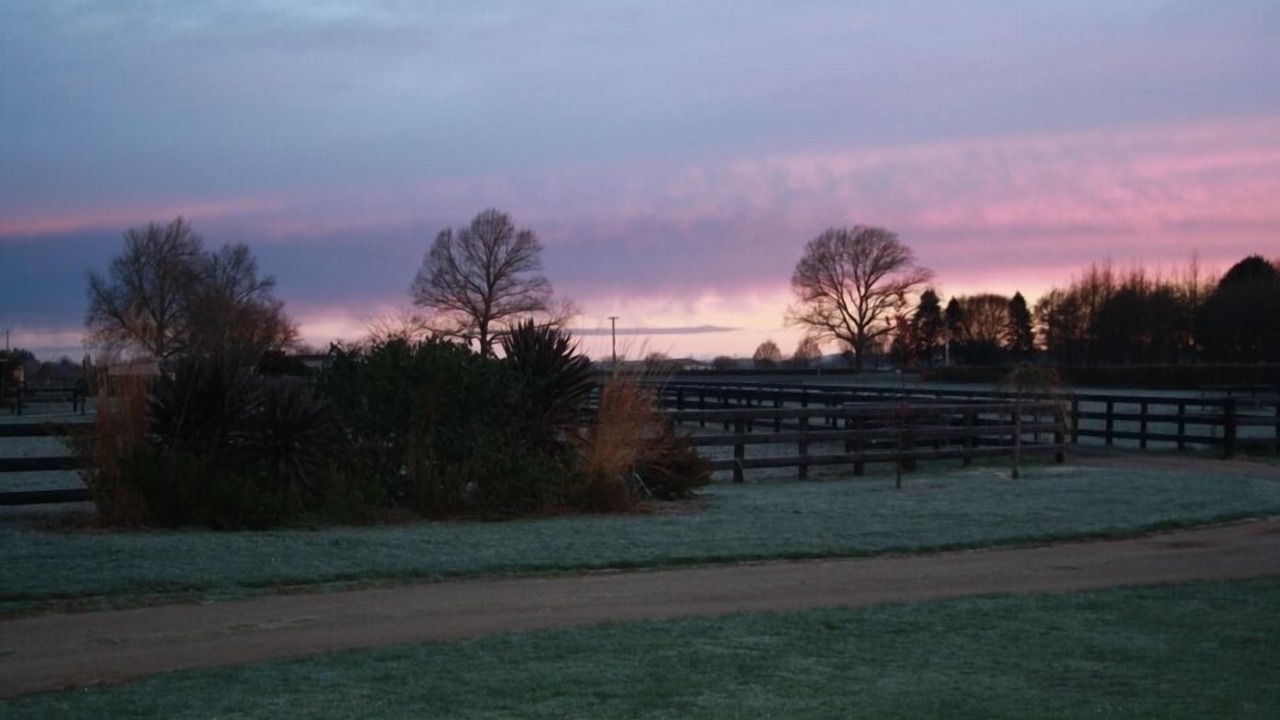 Photo of Others in Ohaupo