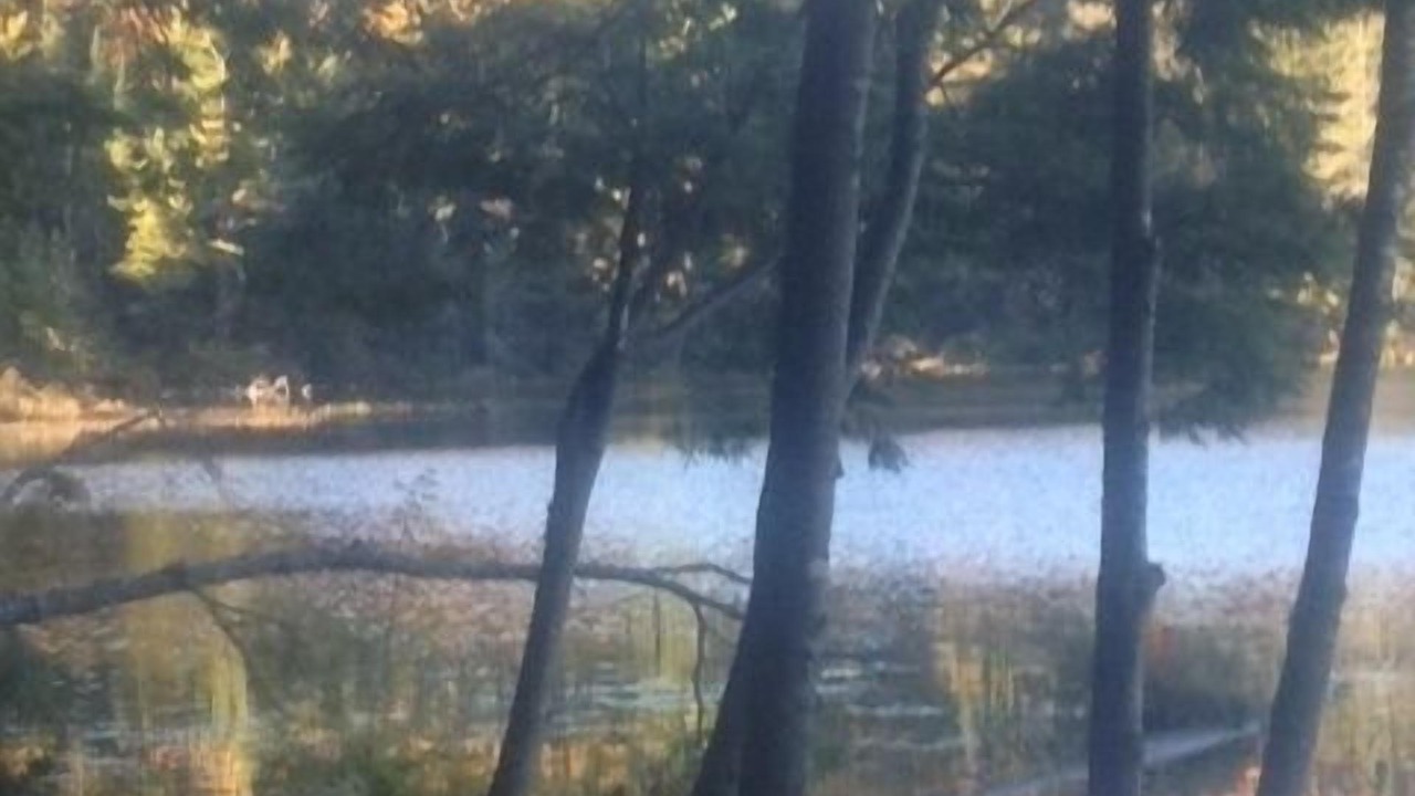 Photo of Others in Lake of Bays