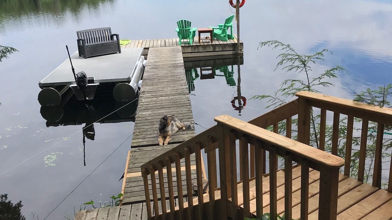 Photo of Others in Lake of Bays