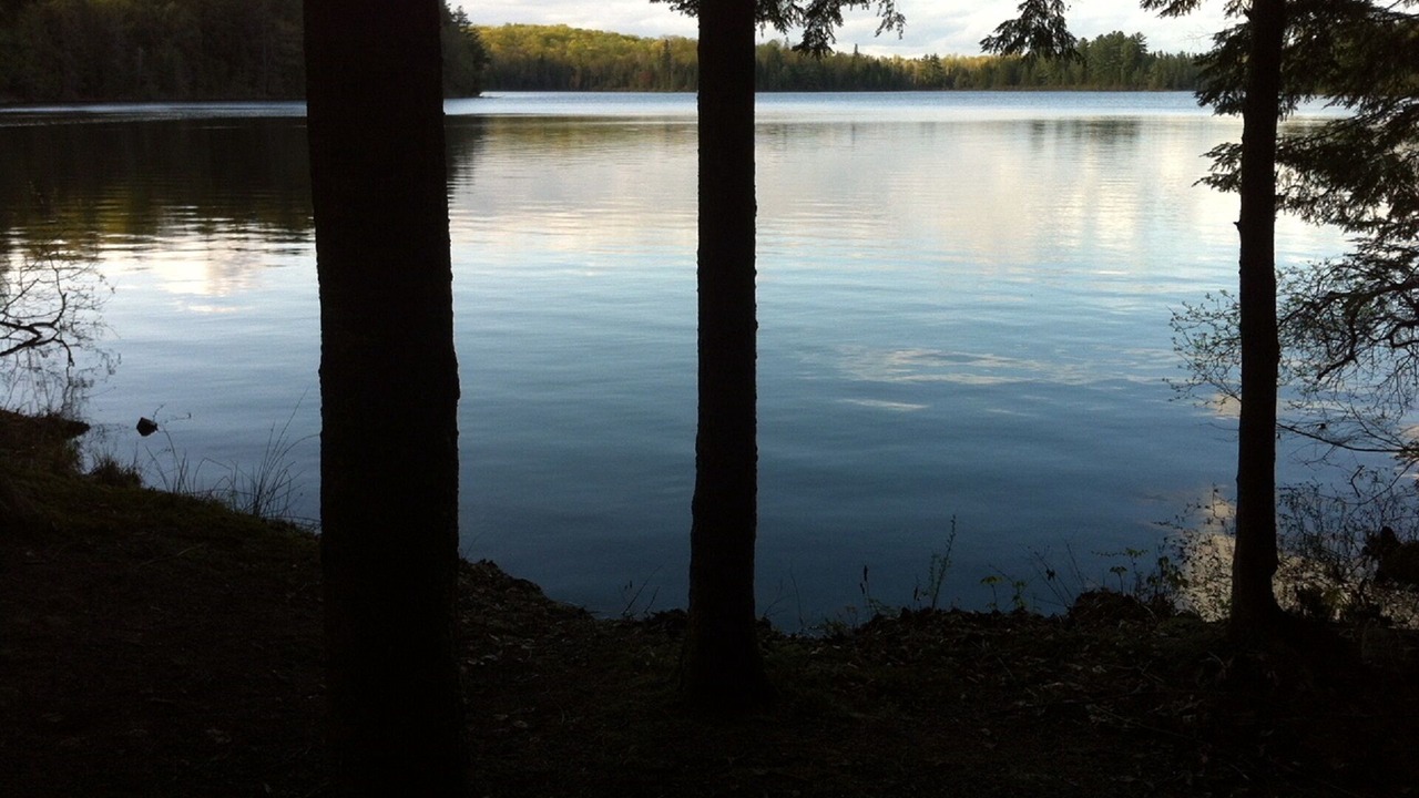 Photo of Others in Lake of Bays