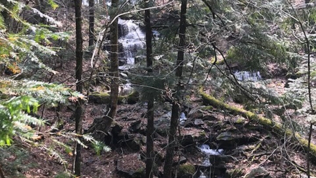 Photo of Others in Lake of Bays