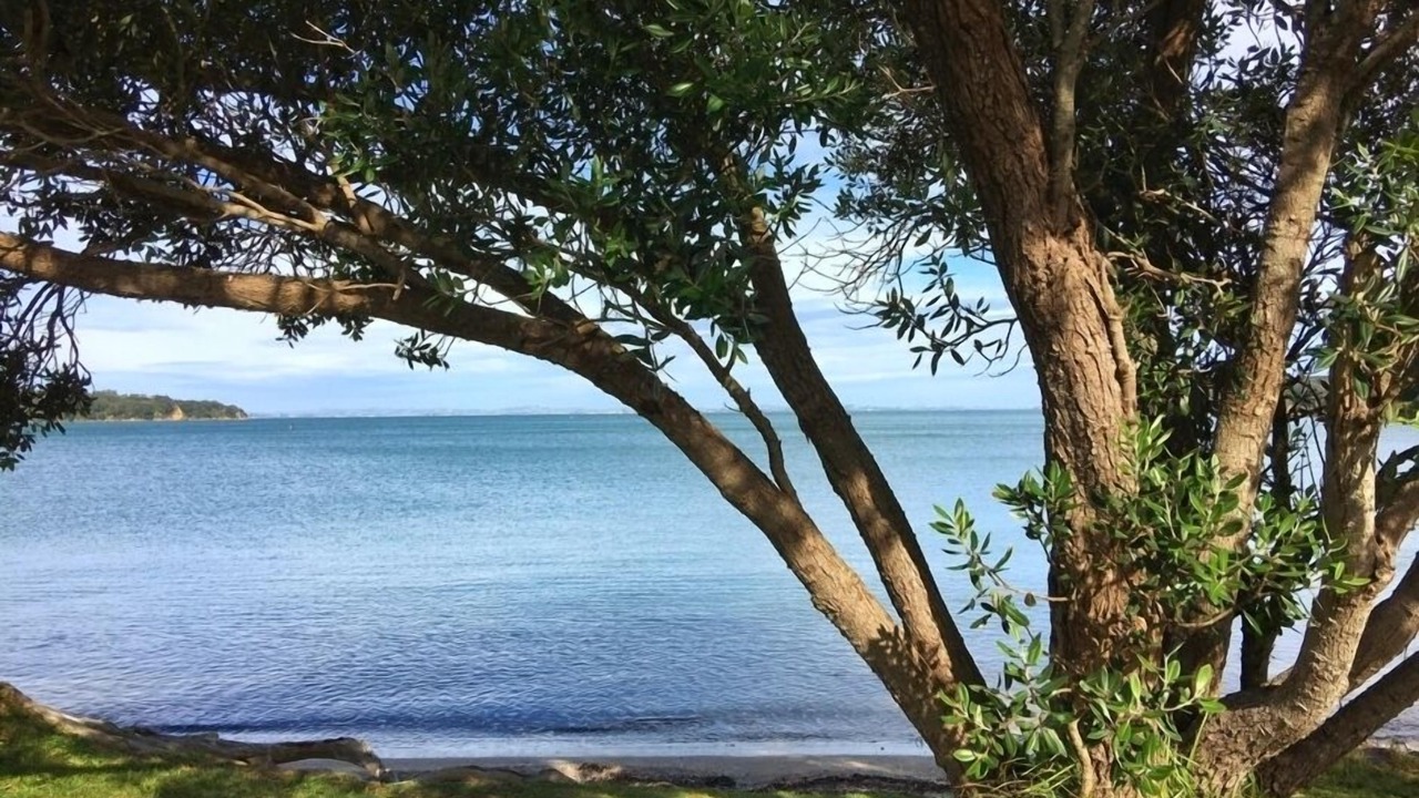 Photo of Others in Surfdale