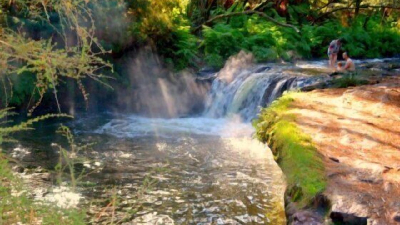 Photo of Others in Kawaha Point