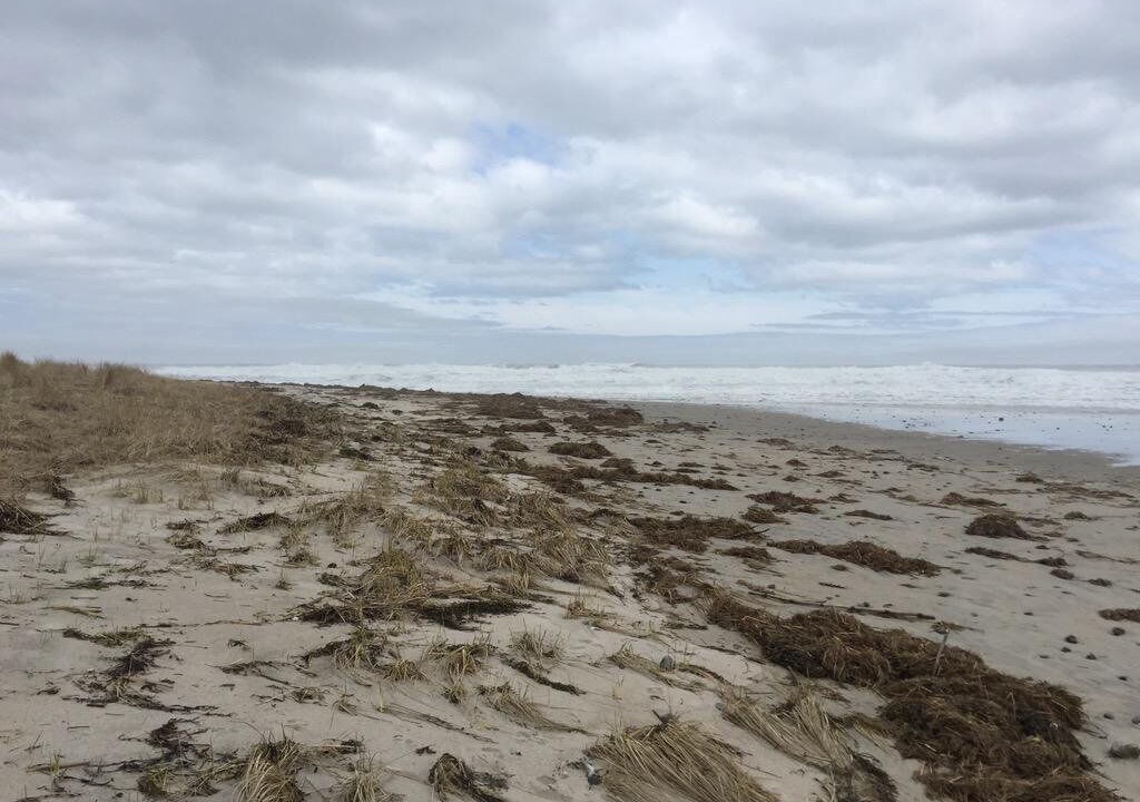 Photo of Others in Wells