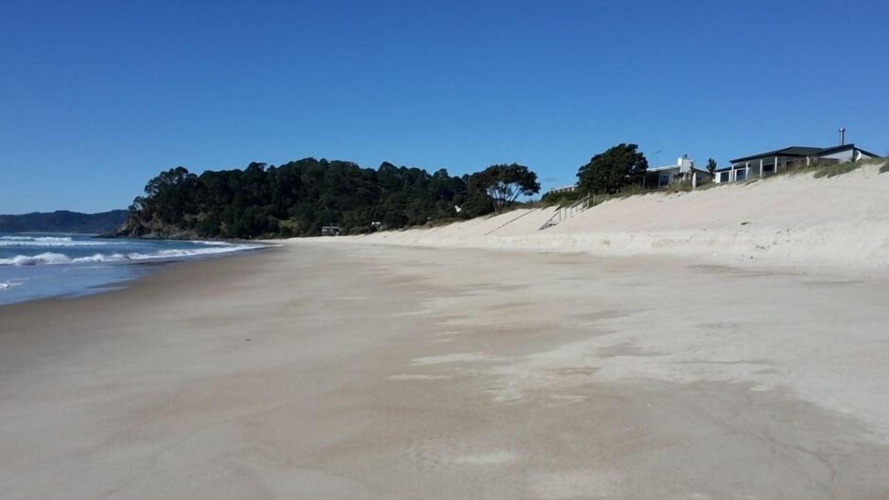 Photo of Others in Whangapoua