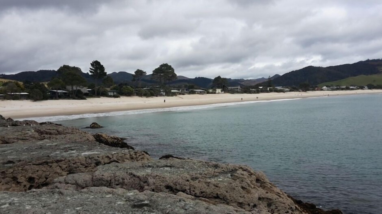 Photo of Others in Whangapoua