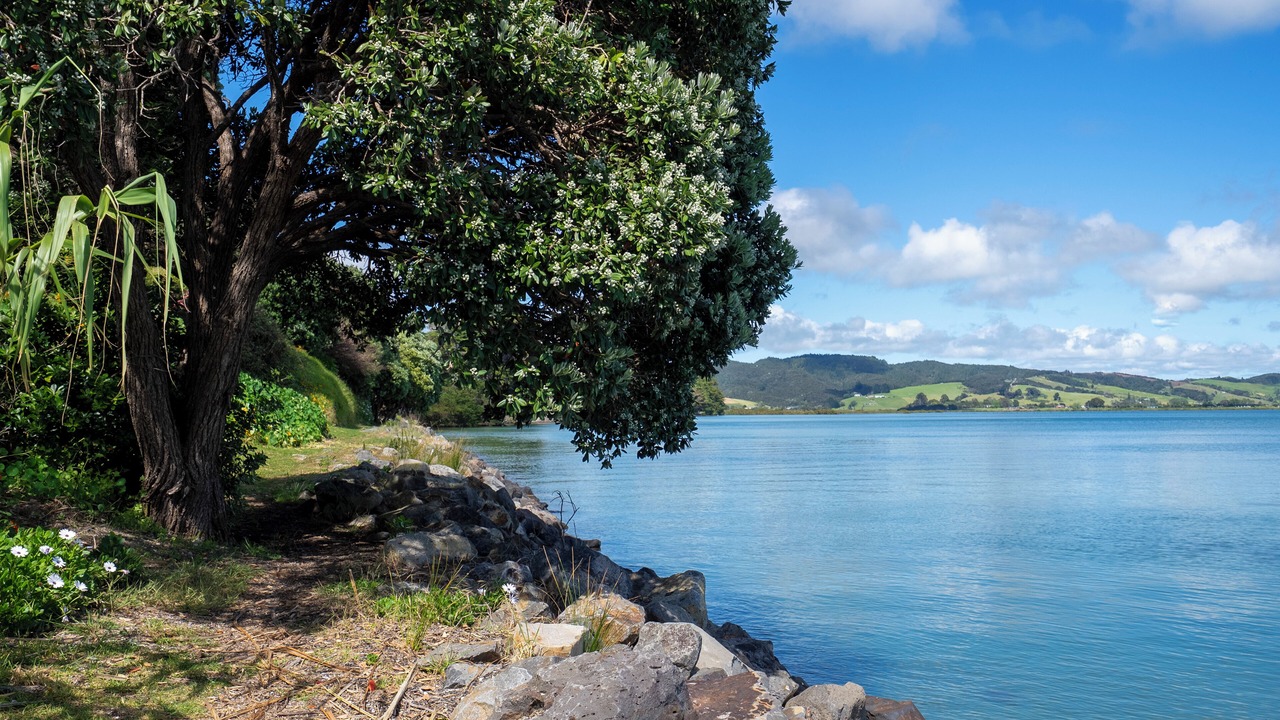 Photo of Others in One Tree Point