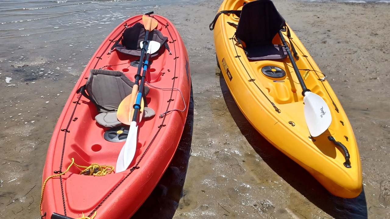 Photo of Others in One Tree Point