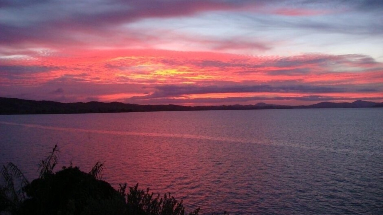 Photo of Others in One Tree Point