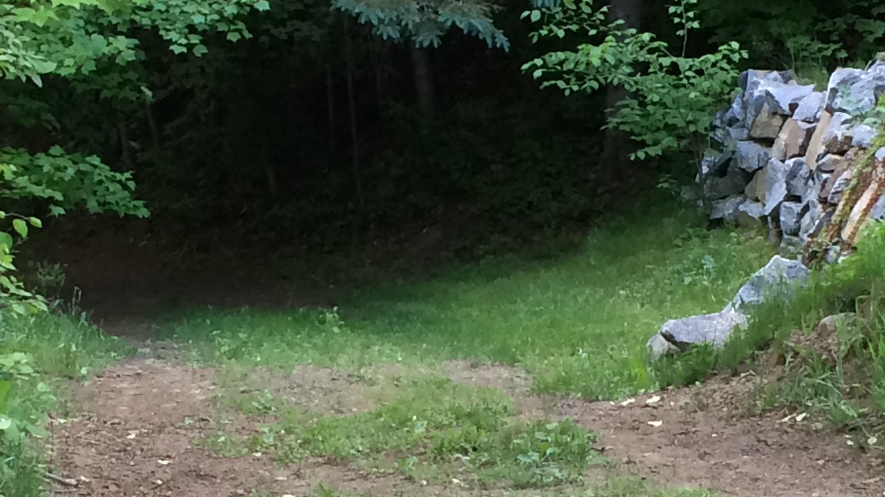 Photo of Others in Bancroft
