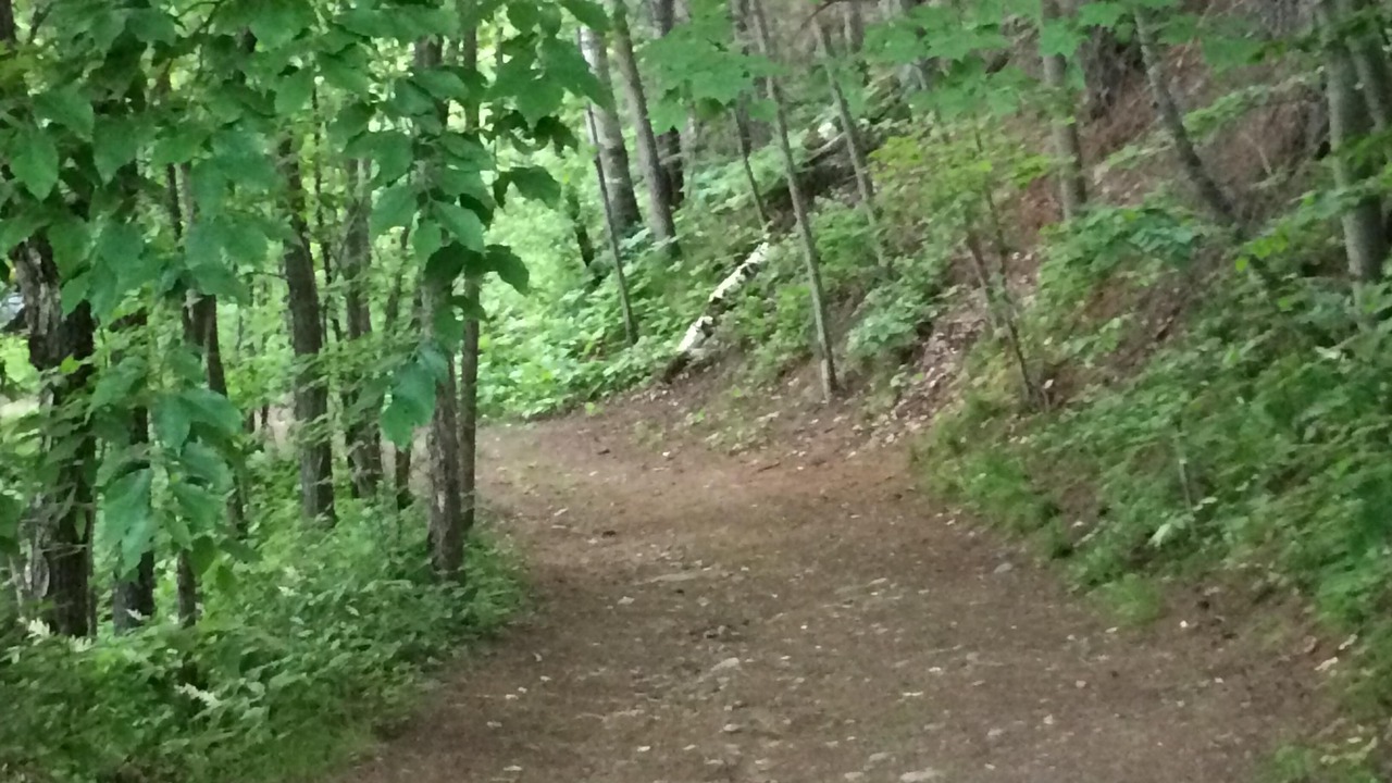 Photo of Others in Bancroft
