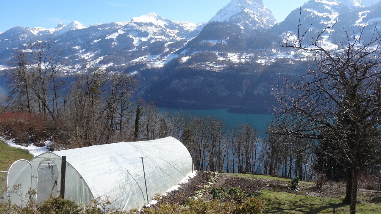 Photo of Outdoor in Amden