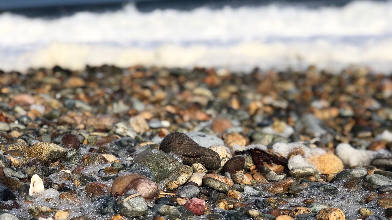 Photo of Others in Humarock