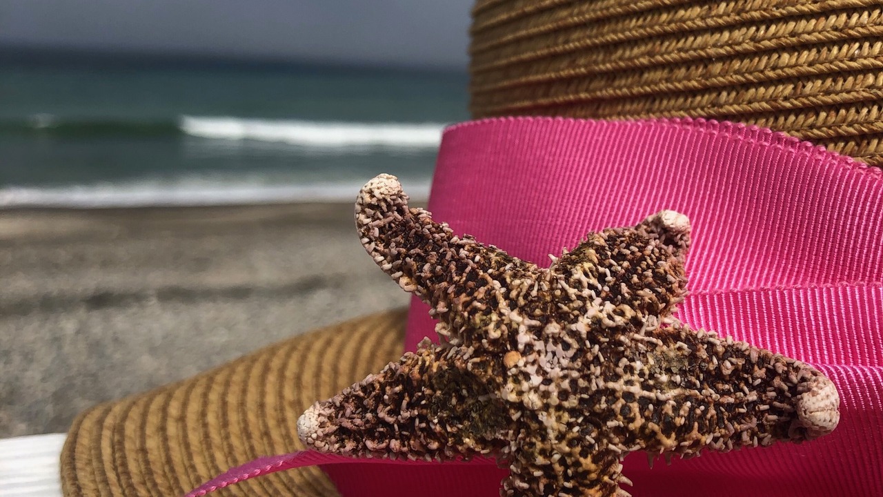 Photo of Outdoor in Humarock