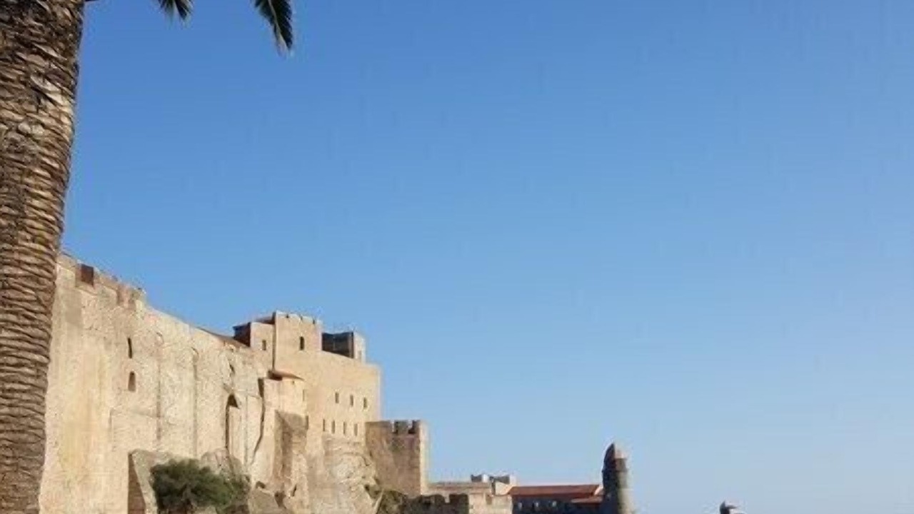 Photo of Others in Collioure