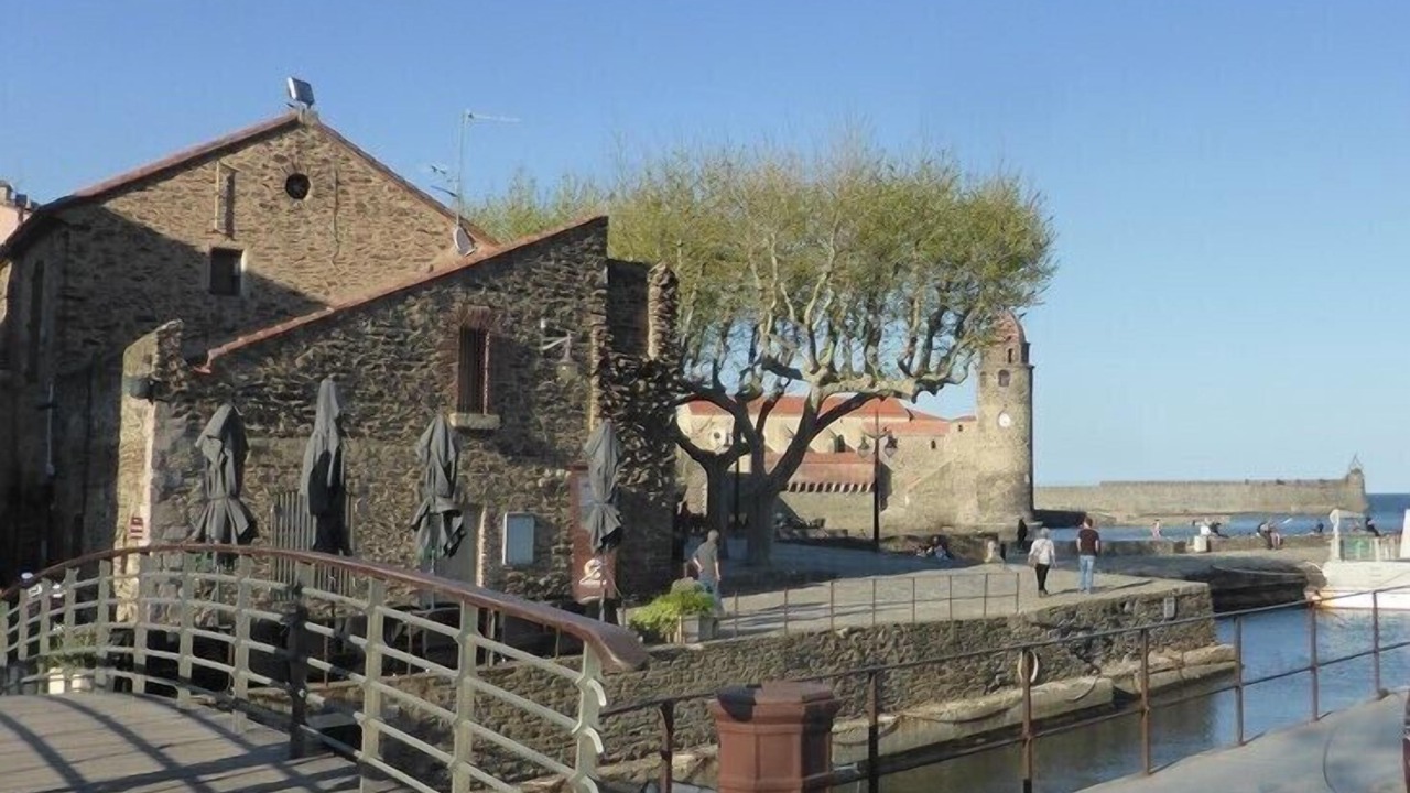 Photo of Others in Collioure