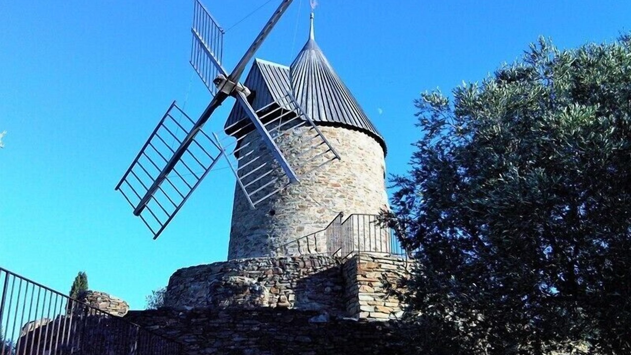 Photo of Others in Collioure