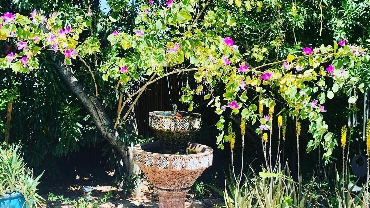 Photo of Outdoor in Palm Desert