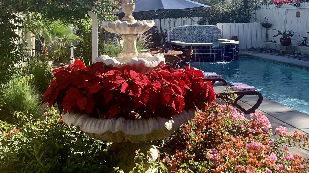 Photo of Others in Palm Desert