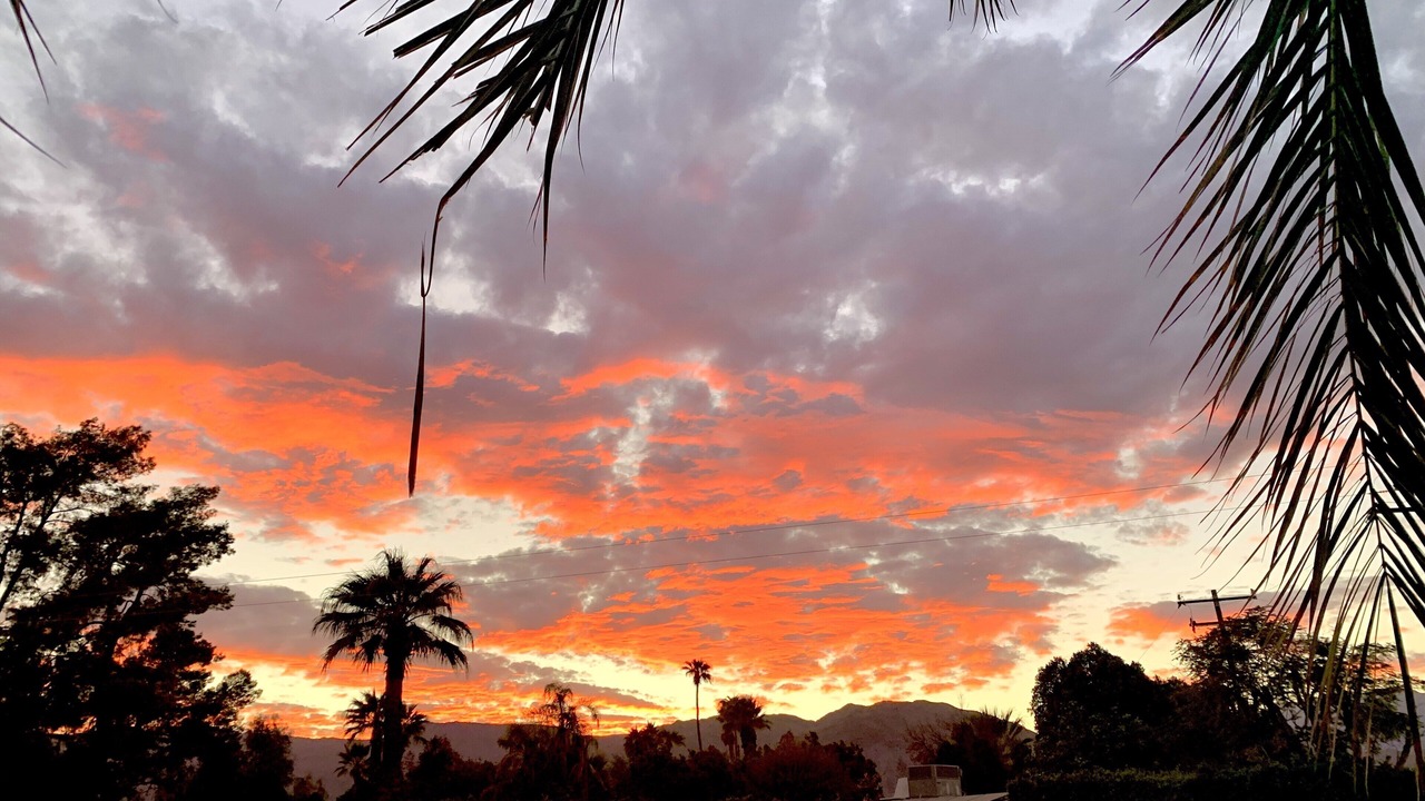 Photo of Others in Palm Desert