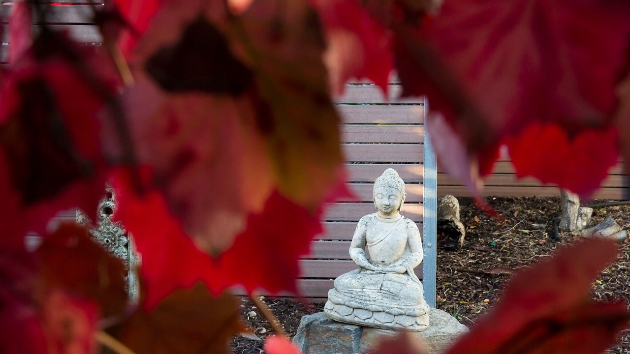 Photo of Outdoor in Strathalbyn